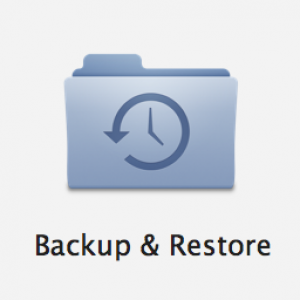 Backup and Restore plugin